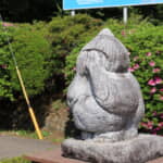 謎が多すぎる童謡＜かごめかごめ＞　「かごめ＝妊婦」「ツルとカメ＝明智光秀」「後ろの正面＝秀吉」説も！？